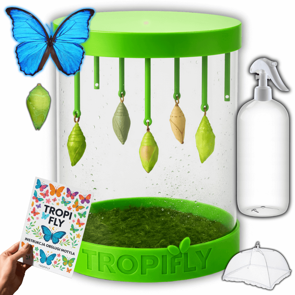 MOTYLOVE™- Zestaw START