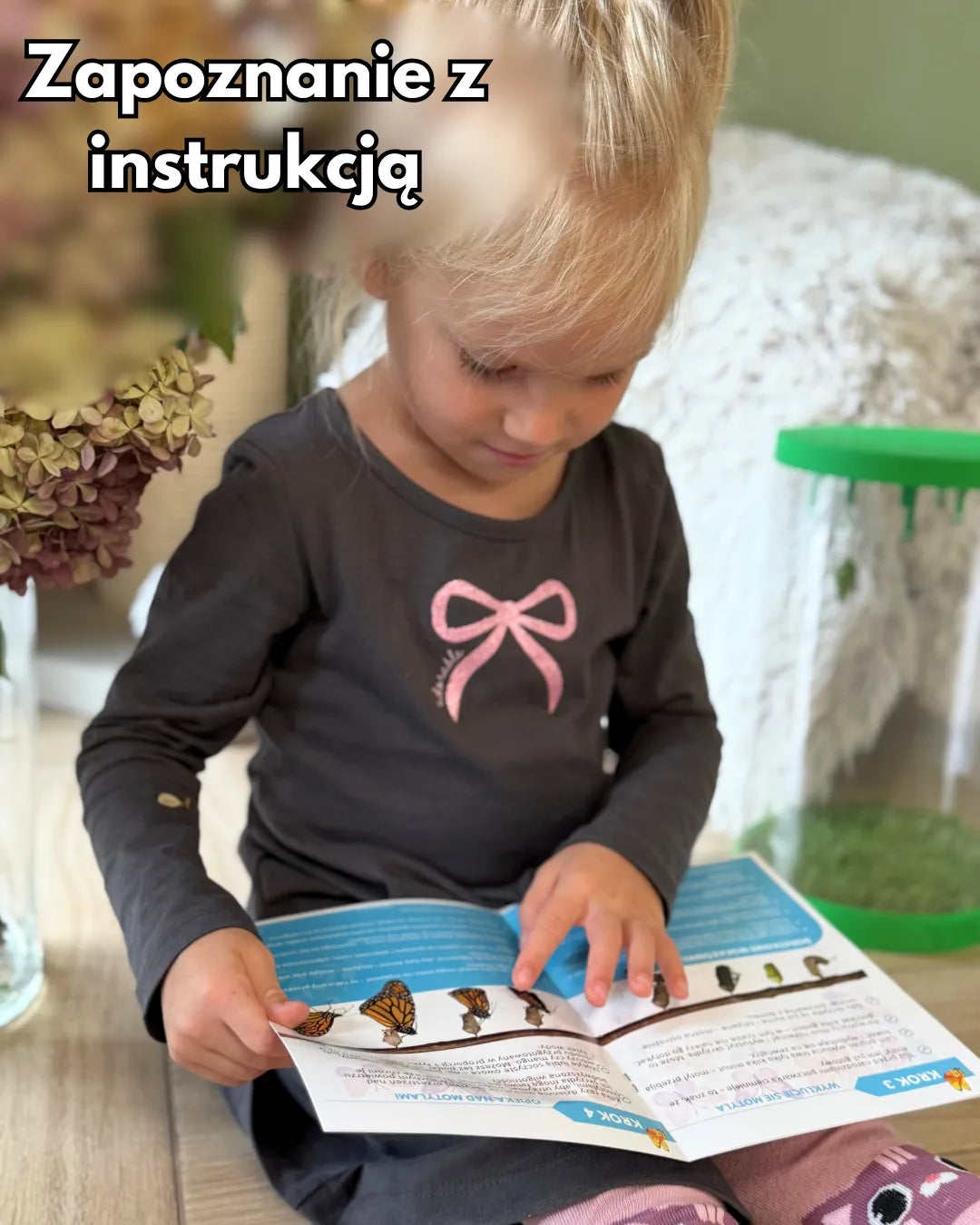 MOTYLOVE™- Wylęgarnik