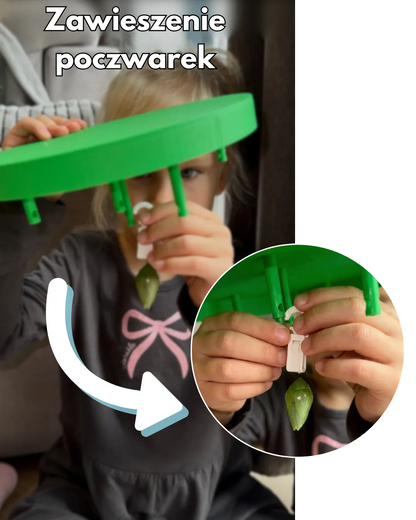 MOTYLOVE™- Wylęgarnik