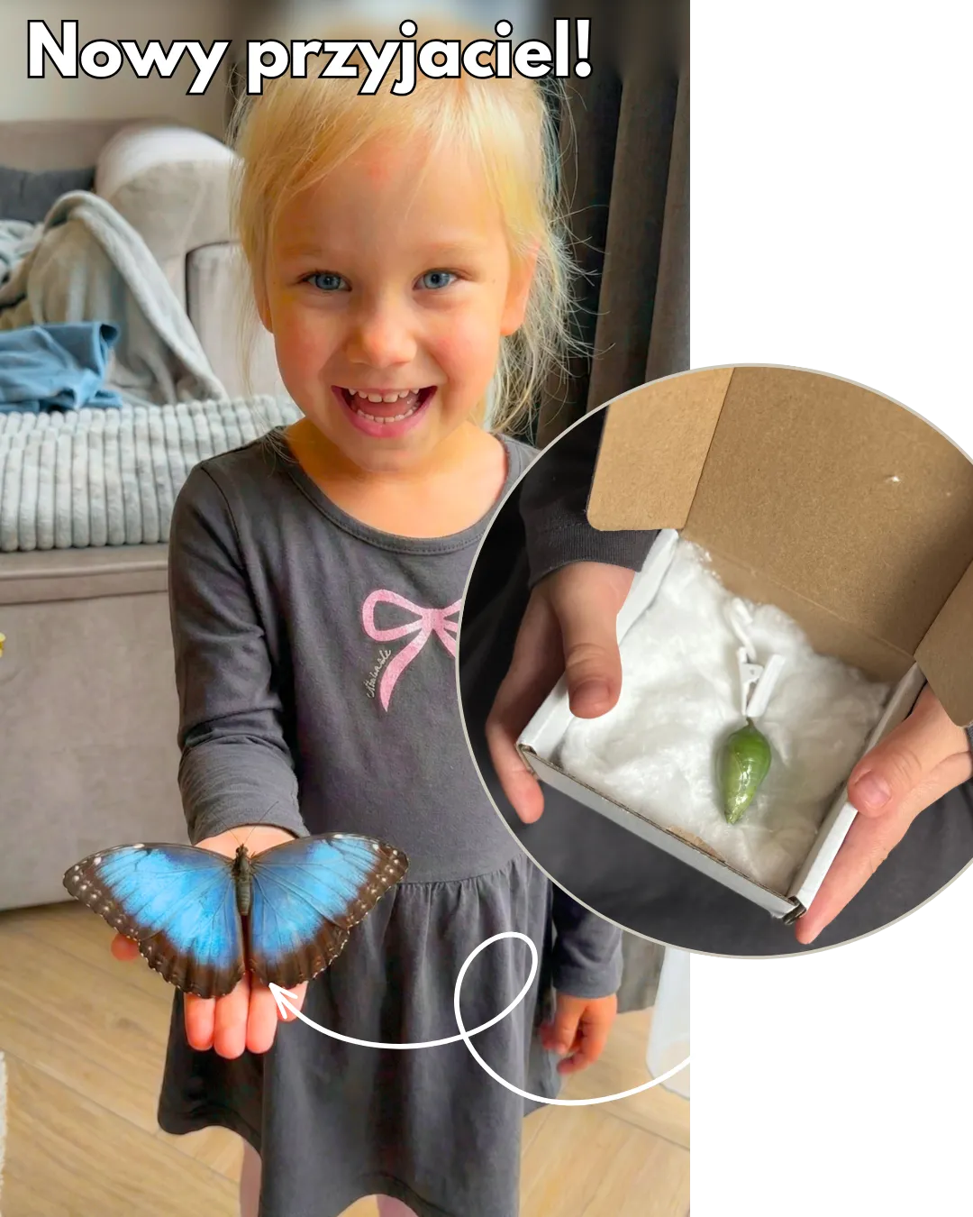 MOTYLOVE™- Wylęgarnik