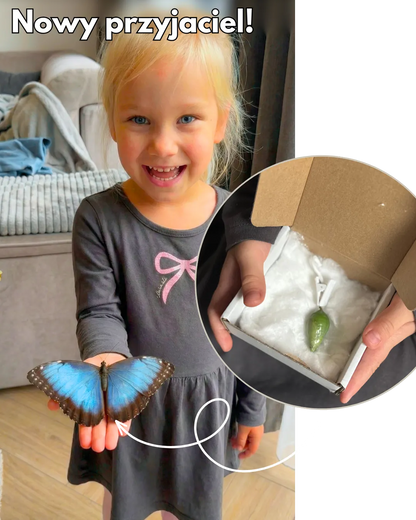 MOTYLOVE™- Wylęgarnik