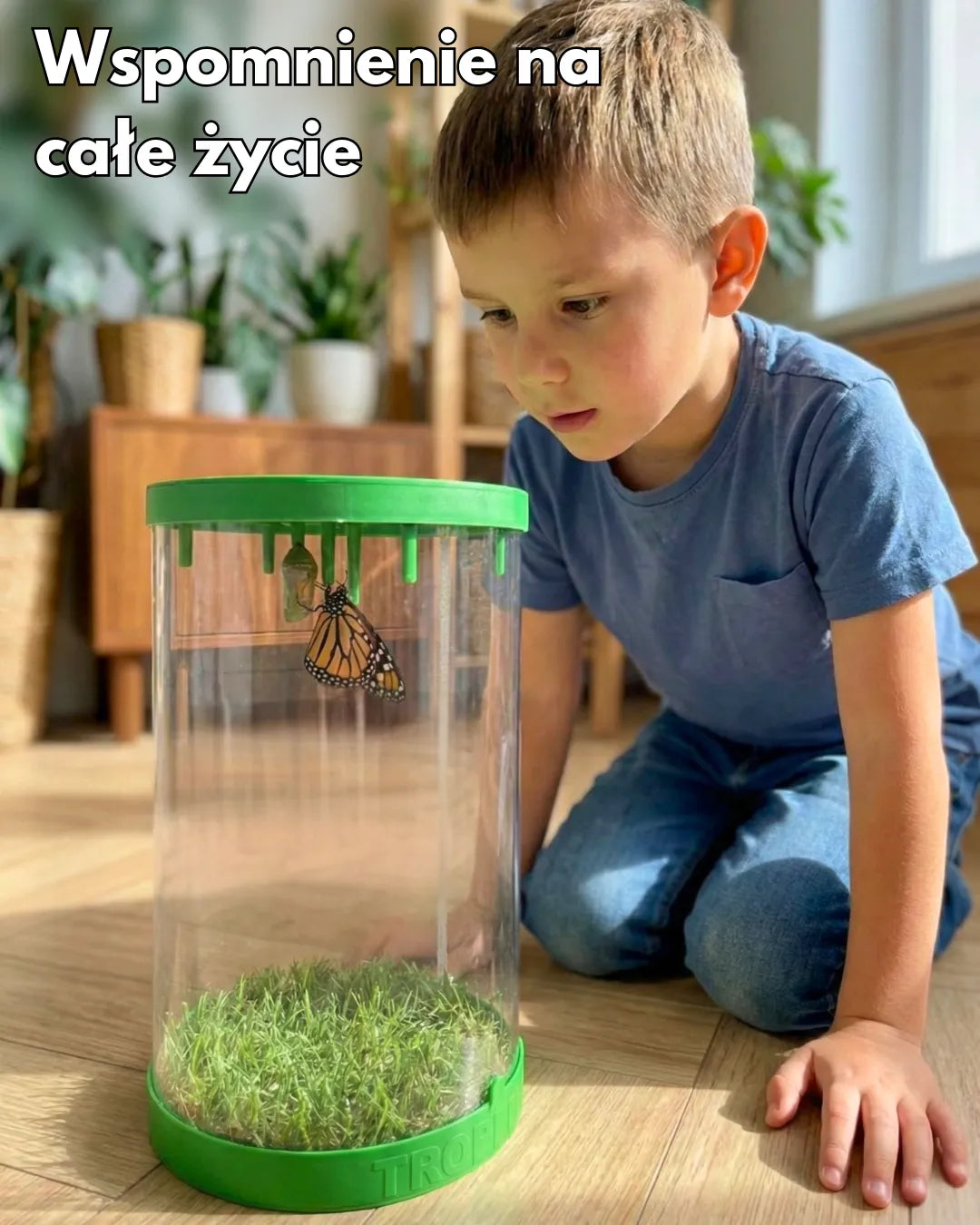 MOTYLOVE™- Wylęgarnik