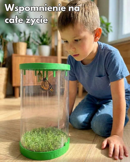 MOTYLOVE™- Wylęgarnik