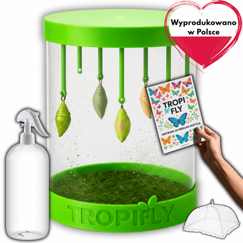 MOTYLOVE™- Wylęgarnik