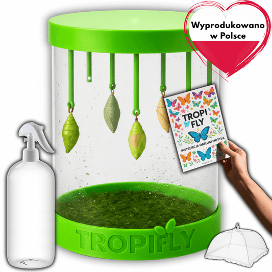 MOTYLOVE™- Wylęgarnik