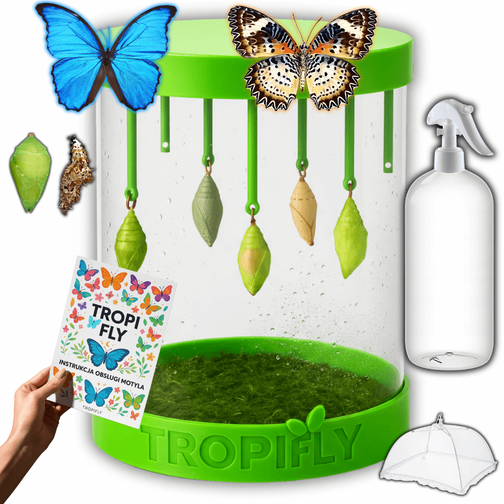 MOTYLOVE™- Zestaw ELITE