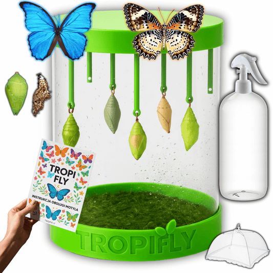 MOTYLOVE™- Zestaw ELITE